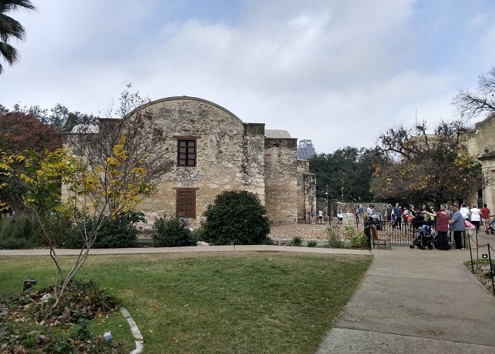 The Alamo photo