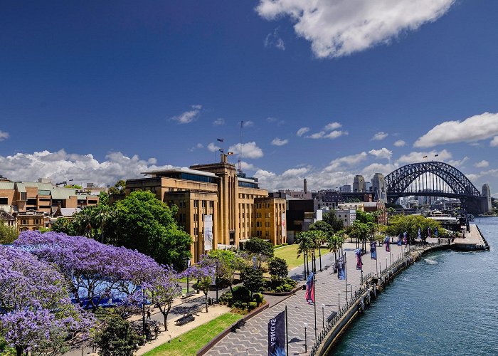 Harbour Bridge photo