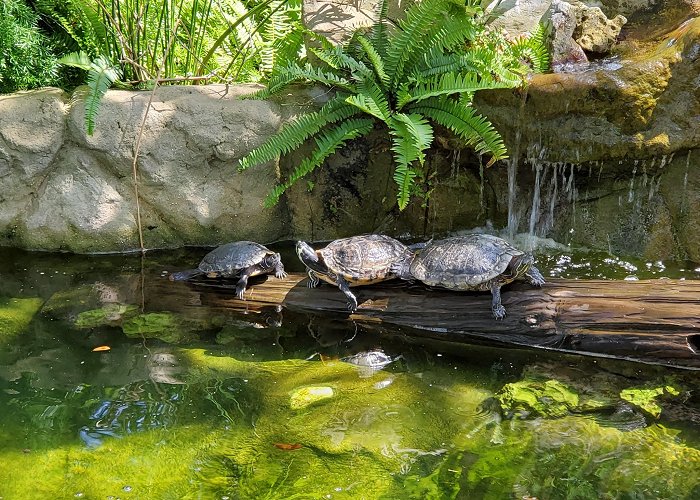 Gulf World Marine Park photo