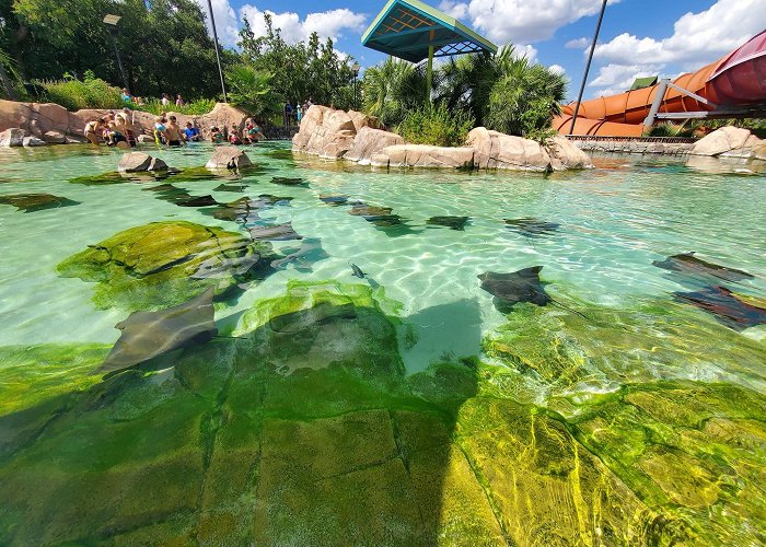 Aquatica San Antonio photo