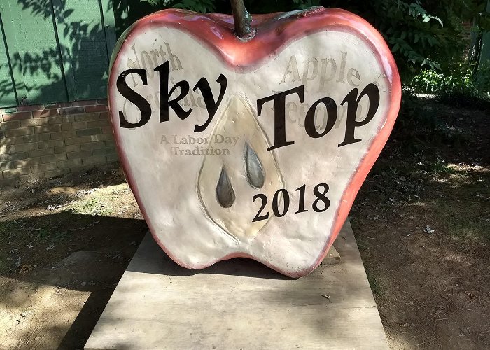 Sky Top Orchard photo