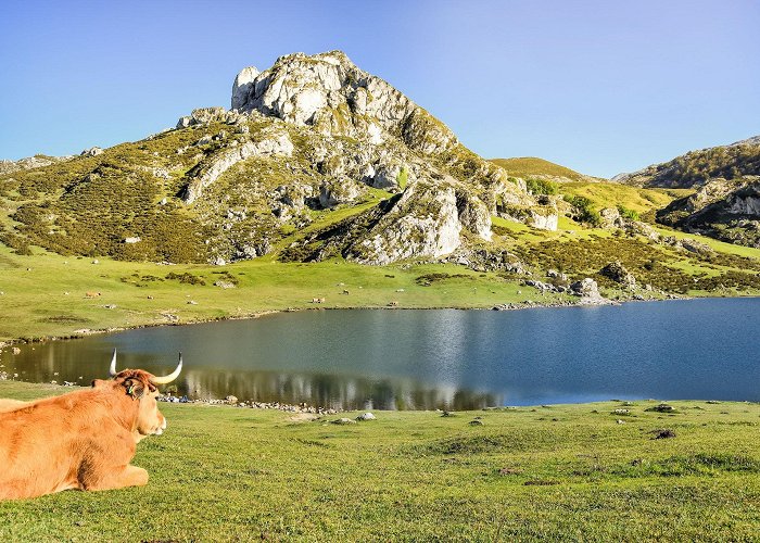 Lakes of Covadonga photo