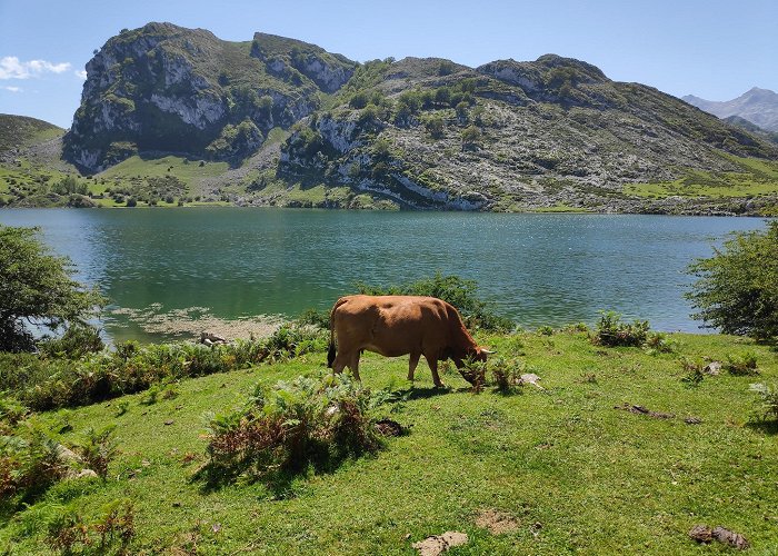 Lakes of Covadonga photo