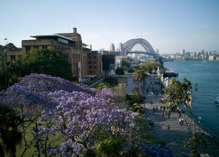 Circular Quay photo