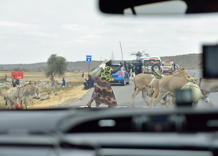 Safari Madrid AFRICA | 5 CONTINENTS DRIVE | TOYOTA GAZOO Racing photo