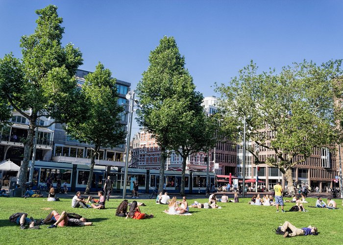 Rembrandtplein Rembrandt Square Tours - Book Now | Expedia photo