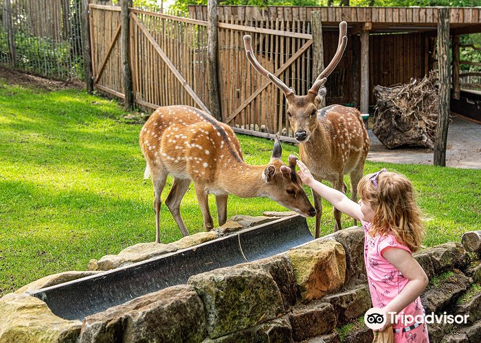 De Waarbeek Nordhorn Zoo: Photos, Map & Reviews [2024] | Trip.com photo