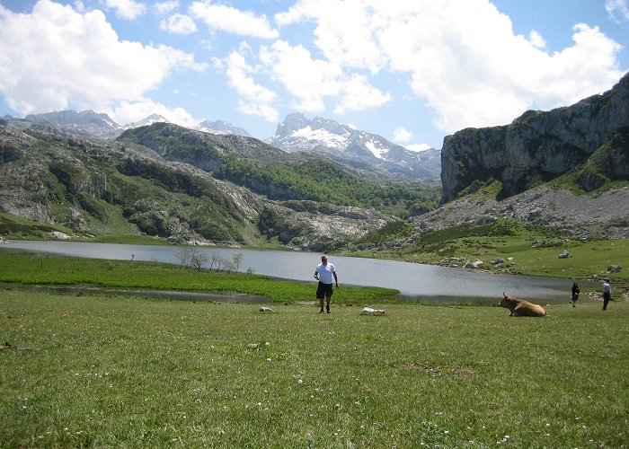 Lakes of Covadonga Visit Cangas de Onis: 2024 Travel Guide for Cangas de Onis ... photo