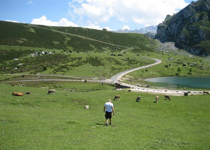 Lakes of Covadonga Things to Do in Cangas de Onis in 2024 | Expedia photo