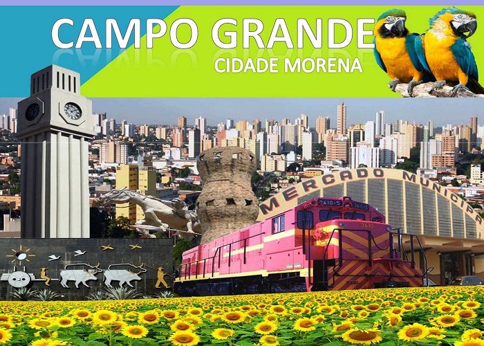 Parque da Criança Calaméo - A História de Campo Grande/MS photo