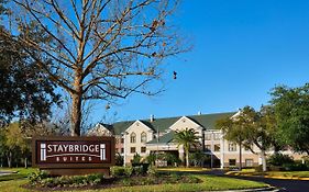 Staybridge Suites Orlando South, An Ihg Hotel Exterior photo