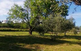 S&M Camping Hotel Sveti Filip i Jakov Exterior photo