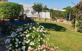 Finca Las Dunas: Beachfront Chalets with Jacuzzis Rota Exterior photo