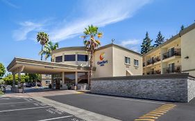 Comfort Inn Sunnyvale - Silicon Valley Exterior photo