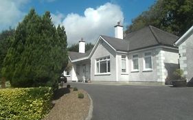 Launard House Bed & Breakfast Kilkenny Exterior photo