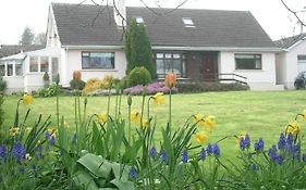 Glen Na Smole Bed & Breakfast Wicklow Exterior photo