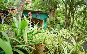 Palitha Homestay Sigiriya Exterior photo