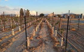 Black Star Ranch Vineyard Hotel Pahrump Exterior photo