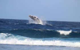 Tifaifai Et Cafe Huahine Bed & Breakfast Fare Exterior photo