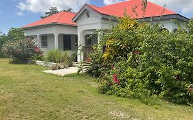 Rustic Home On Large Land Of Fruit Trees- 15 Minutes To English Harbour All Saints Exterior photo