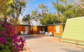 Camping Las Palmeras Hotel Crevillente Exterior photo