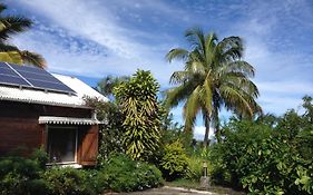 Saint Leu - Chambre 3 Epis Avec Pdj Piscine En Pleine Nature Vue Mer - Bardzour Bed & Breakfast Exterior photo