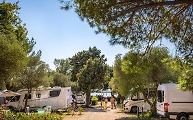 Maistra Camping Amarin Pitches Hotel Rovinj Exterior photo