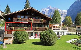 Guggerzyt Apartment Grindelwald Exterior photo