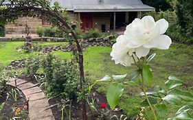 Periwinkle Grove Cottage Clarens Exterior photo