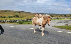 Dartmoor Reach Alpaca Farm Heated Cabins 5 Mins Drive To Dartmoor Bovey Tracey Exterior photo