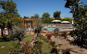 Il Roseto Bed & Breakfast Sorrento Exterior photo