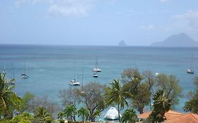 Palm'Studio Anse De Caritan Apartment Sainte-Anne Exterior photo