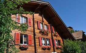 Chalet Allmegrat Apartment Adelboden Exterior photo