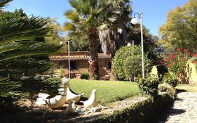 El Refugio De Las Palomas Villa Tepoztlan Exterior photo