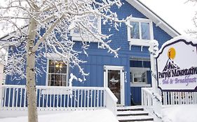 Purple Mountain Bed & Breakfast & Spa Bed & Breakfast Crested Butte Exterior photo