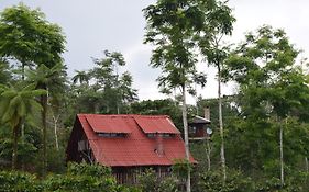 Cabanas Los Cedros Cuetzalan Exterior photo