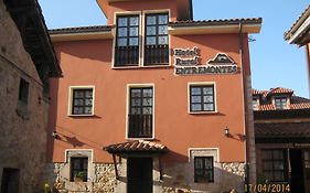 Hotel Rural Entremontes Cangas de Onis Exterior photo