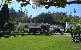 Quintal De Alem Do Ribeiro-Turismo Rural Hotel Lousa  Exterior photo