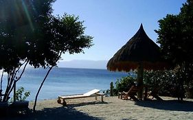 Sea Turtle House Moalboal Hotel Exterior photo