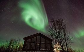 Aurora View Cabin Villa Lyngseidet Exterior photo