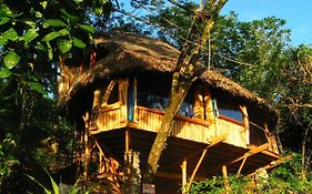 Vanira Lodge Teahupoo Exterior photo