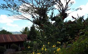 Villa Del Carmen Haven Bohol Exterior photo