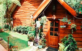 Moon Plains Forest Log Villa Nuwara Eliya Exterior photo