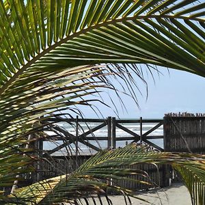 Zefiro Hostal Hotel San Bernardo del Viento Exterior photo