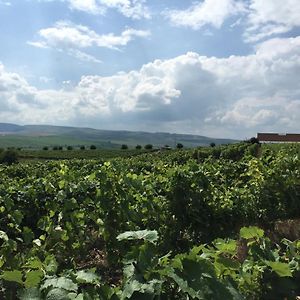 Wineyards Salin Bed & Breakfast Turda Exterior photo