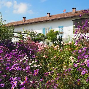 Casa Del Roseto Bed & Breakfast Belveglio Exterior photo