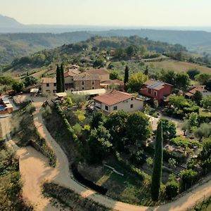 Corte Buenavista Bed & Breakfast Magliano Sabina Exterior photo