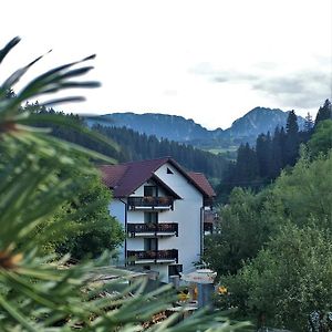 Pensiunea Maidali Hotel Brasov Exterior photo