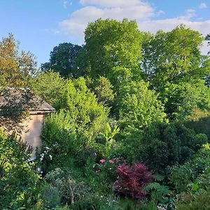 La Petite Maison Du Jardin D'Apollon Bed & Breakfast Dourdan Exterior photo