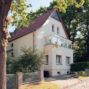 Pension Rosengarten Hotel Sangerhausen Exterior photo